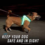 NOXGEAR LIGHTHOUND HARNESS