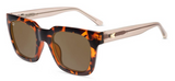KNOCKAROUND SUNGLASSES - SONGBIRDS