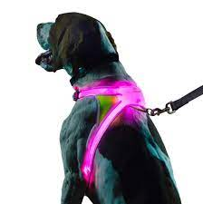 NOXGEAR LIGHTHOUND HARNESS