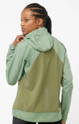 Salomon hoodie women's on sale