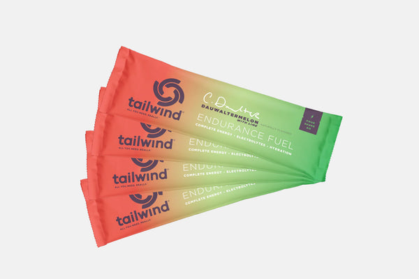 TAILWIND NUTRITION ENDURANCE FUEL - SINGLE