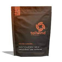 TAILWIND NUTRITION RECOVERY - 15 SERVINGS